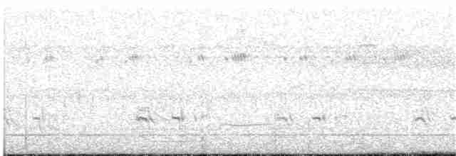 Striped Cuckoo - ML66008791