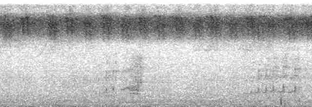 Nasenstreif-Honiganzeiger [minor-Gruppe] - ML66027