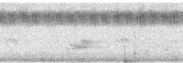 medozvěstka menší [skupina minor] - ML66037