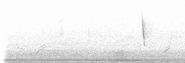 Пасовка співоча (підвид montana/merrilli) - ML66041391