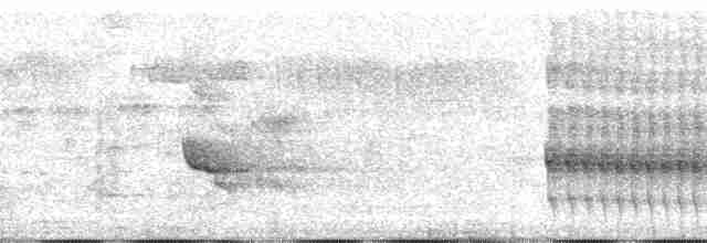 Woodland Kingfisher - ML6605