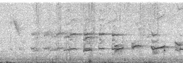 vousáček bělohlavý [skupina leucocephalus] - ML66057