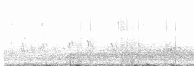 Большая ласточка (hesperia) - ML66078701