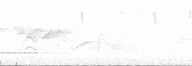 Белоухая сибия - ML66085931