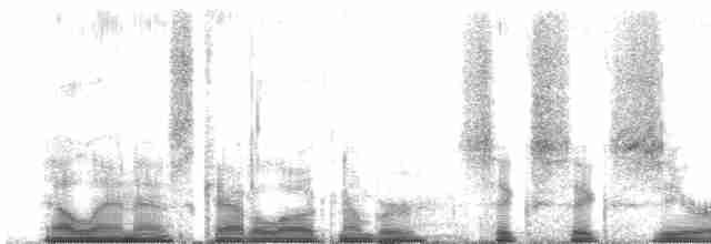 Kara Tepeli Baştankara - ML66096