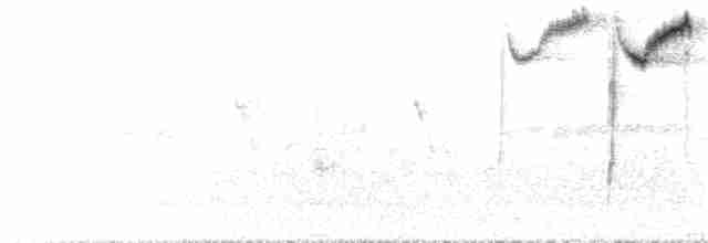 Блакитар вохристочеревий - ML66136171