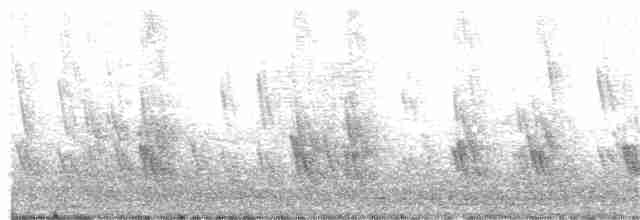 Hirondelle noire (hesperia) - ML66148431