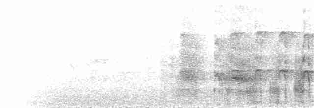 Roseate Tern - ML66177211