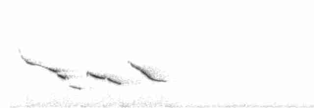 Chihuahuan Meadowlark - ML66280831
