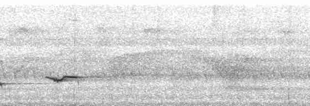Гренадский дрозд [группа fumigatus] - ML66287