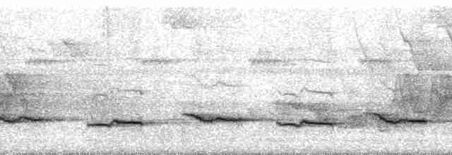 Гренадский дрозд [группа fumigatus] - ML66300
