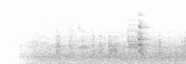 紅燕鷗 - ML66304871