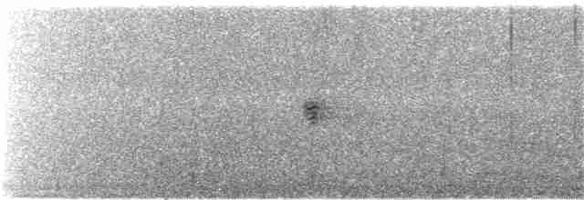 Mirlo Acuático Coroniblanco - ML66309351