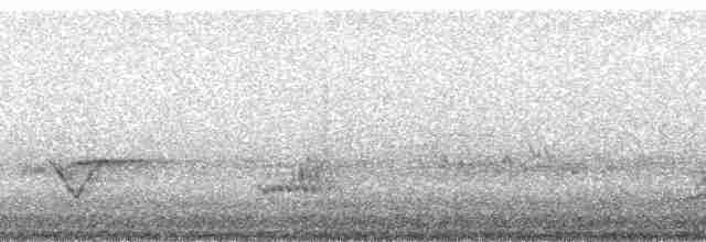Kestane Karınlı Ardıç - ML66312