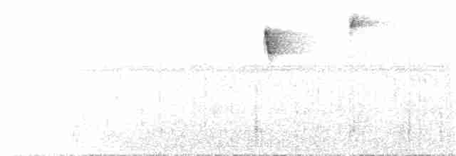 Alev Suratlı Tangara (parzudakii/urubambae) - ML66339701