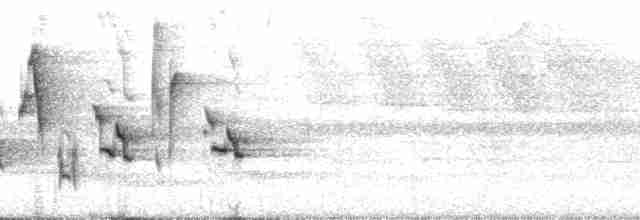 Turuncu Gagalı Bülbül Ardıcı [aurantiirostris grubu] - ML66360