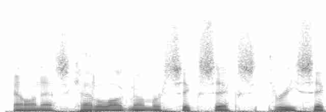 Turuncu Gagalı Bülbül Ardıcı [aurantiirostris grubu] - ML66365