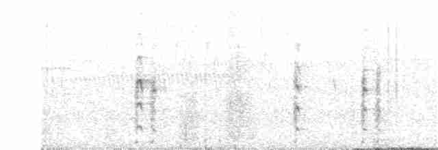 Spotless Crake - ML66502501