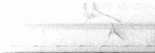 káně rudochvostá (ssp. kemsiesi/hadropus) - ML66538101