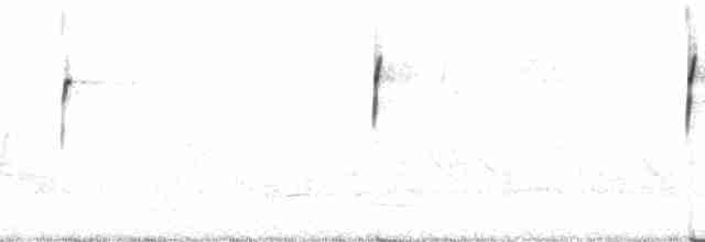 ヒラハシハエトリ（exortivus） - ML66594