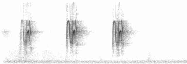 Rauchschwalbe (erythrogaster) - ML66621391