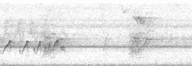 Тиран-крихітка темноголовий - ML66642