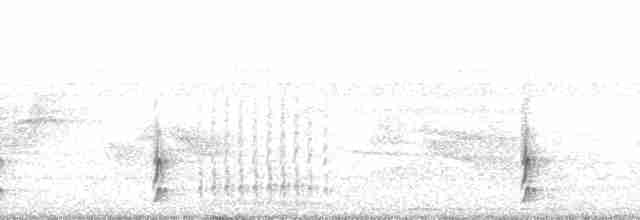 Тиран-інка буроголовий - ML66674