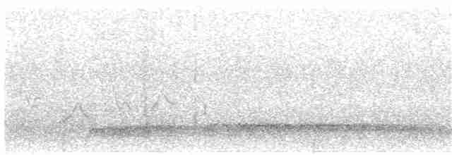 Small-billed Tinamou - ML66733131