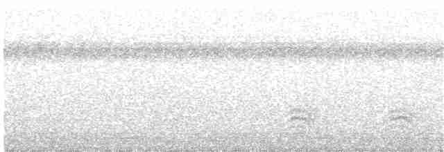 Weißbrustkleiber - ML66915891