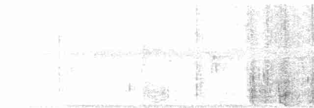 Red Crossbill (Western Hemlock or type 3) - ML66953661