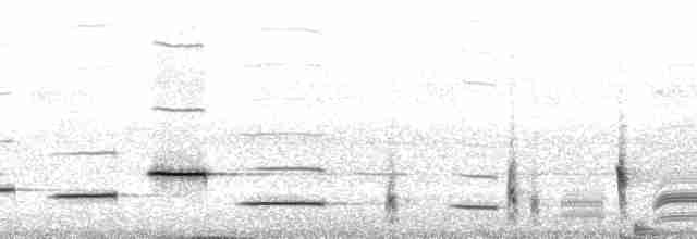 Troglodyte arada (arada) - ML67025