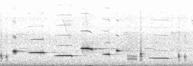 Troglodyte arada (arada) - ML67026