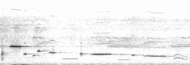 Troglodyte arada (arada) - ML67036