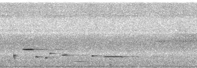 Тріскопліт рудолобий (підвид arada) - ML67038