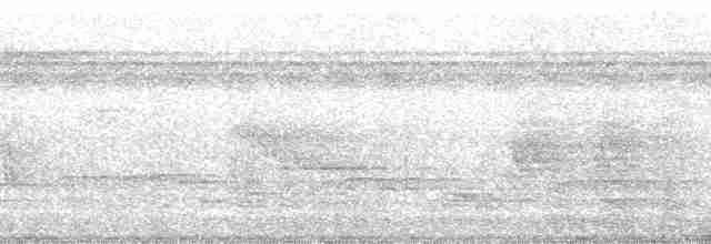 Troglodyte arada (arada) - ML67042