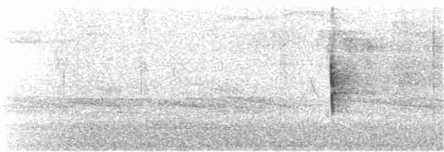 Kara Kanatlı Piranga - ML67071351