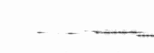 Weißkehlgerygone - ML67121371