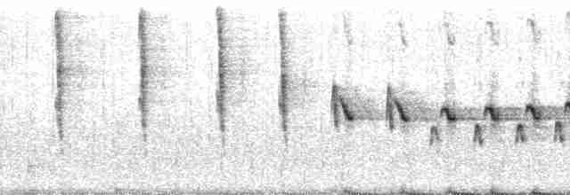 Black-crested Warbler - ML67183