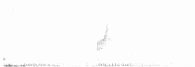 Міагра білогорла - ML67257441