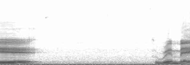Красноголовая чубатка - ML6733