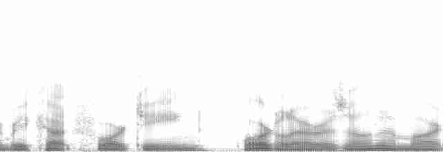 Кривоклювый пересмешник - ML67330