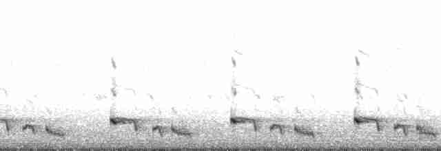 Красноголовая чубатка - ML6735