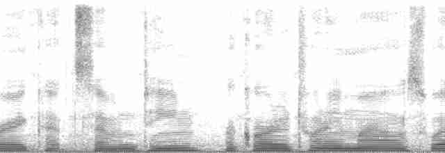 Gri Yanaklı Bülbül Ardıcı - ML67350