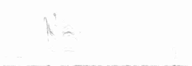Boreal Chickadee - ML67350151