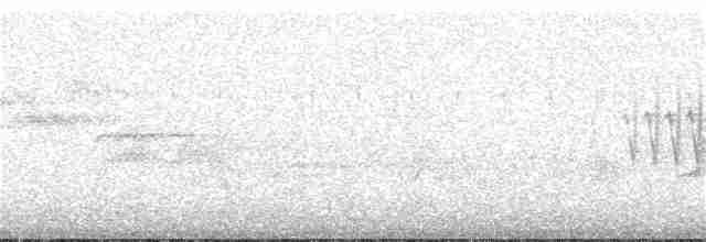 Юнко сірий [група oreganus] - ML67374371