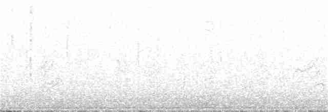 Paruline verdâtre (sordida) - ML67389521