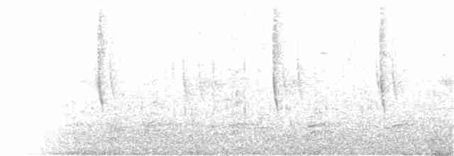 Широкохвостый колибри - ML67456151