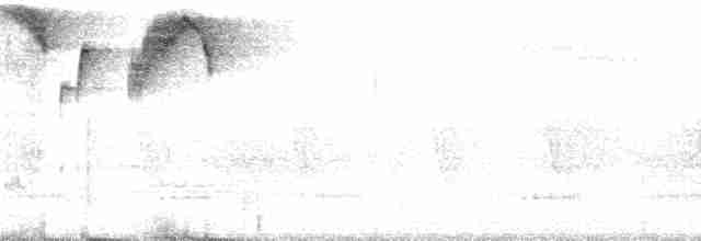 Каштановоголовый тохи [группа brunneinucha] - ML67483