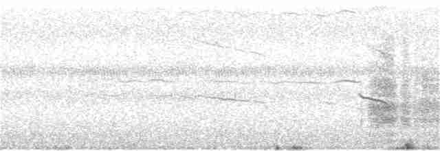 裏海燕鷗 - ML67488561