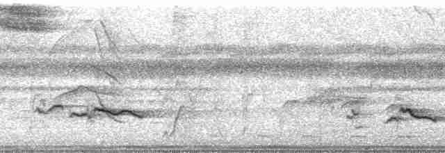 Boğmaklı Çalı Serçesi (taciturnus/nigrirostris) - ML67493